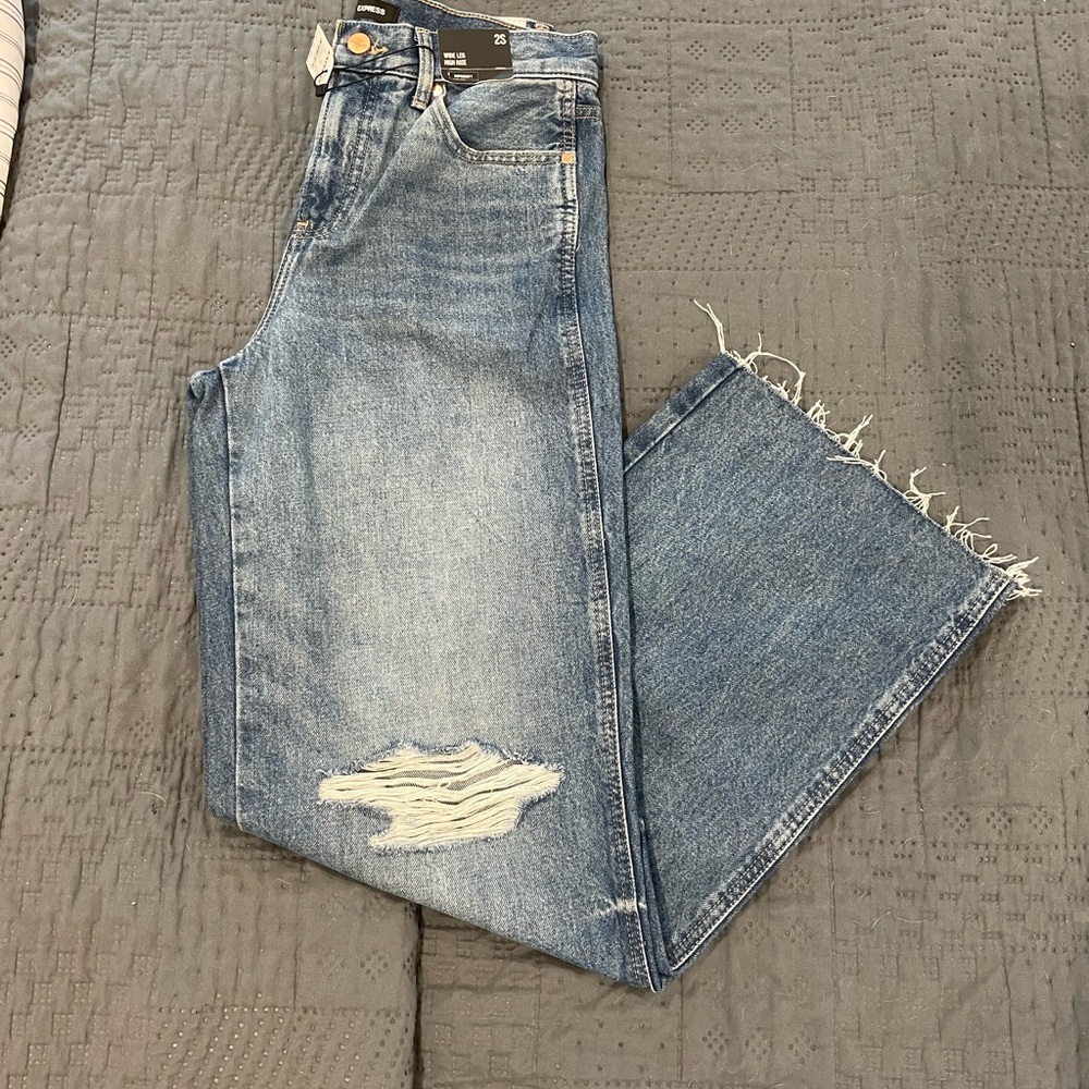 Express Wide Leg Jeans